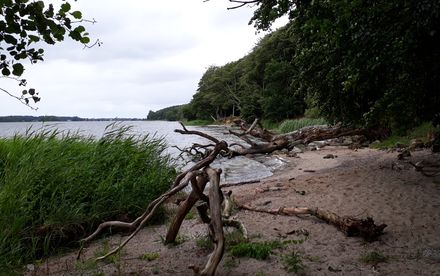 Schleistrand